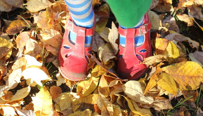 ab-nach-draussen-im-herbst-outdoor-ideen-und-ausflugstipps-fuer-familien-mit-kindern-von-2-6-jahren-online-ueber-zoom