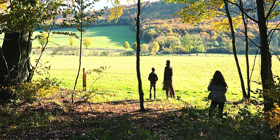 ganzjaehrige-erlebnisnachmittage-in-wald-und-flur-fuer-eltern-und-kinder-ab-15-jahren-2